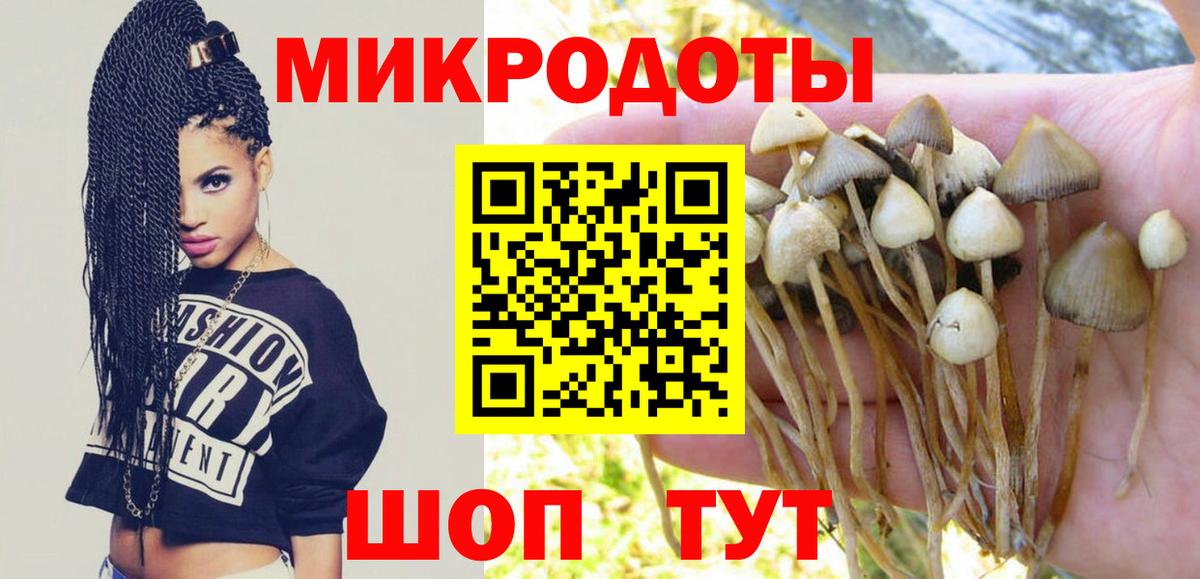 Галлюциногенные грибы ЛСД Карпинск
