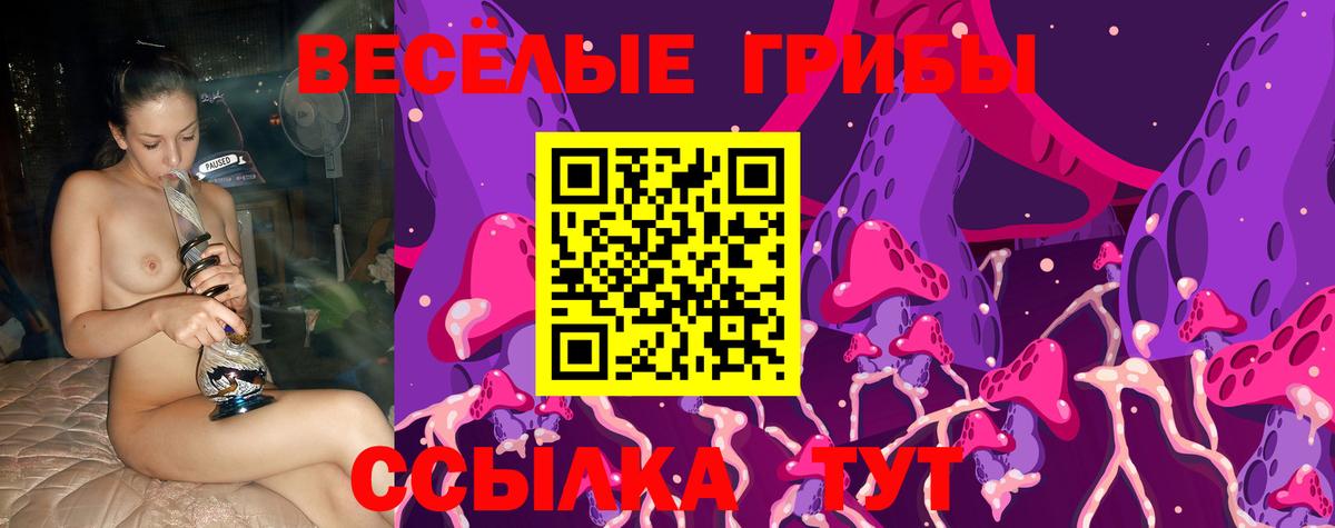 Псилоцибиновые грибы MAGIC MUSHROOMS  Вход с VPN  Карпинск 